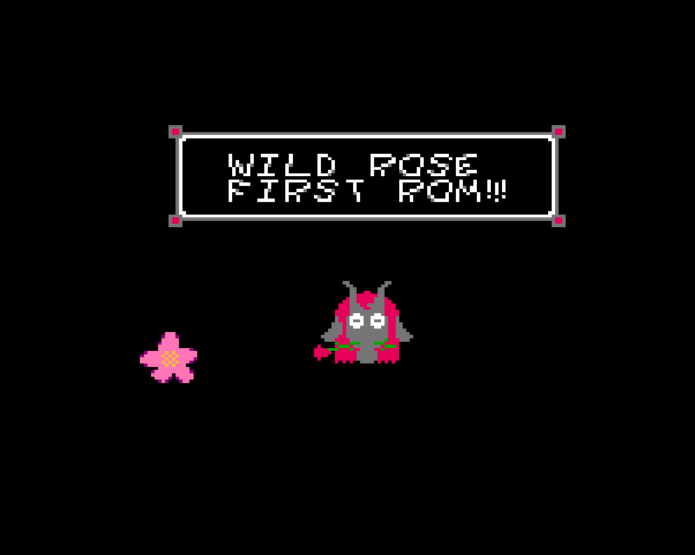First NES ROM